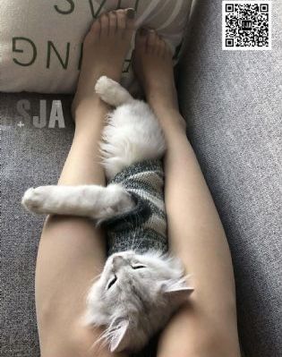 国产男手表品牌排行榜_1080P神马在线观看